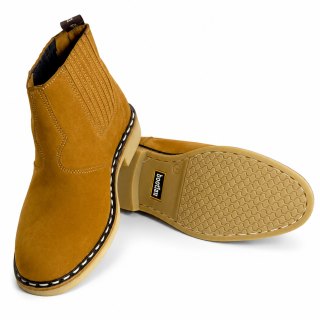 Camel